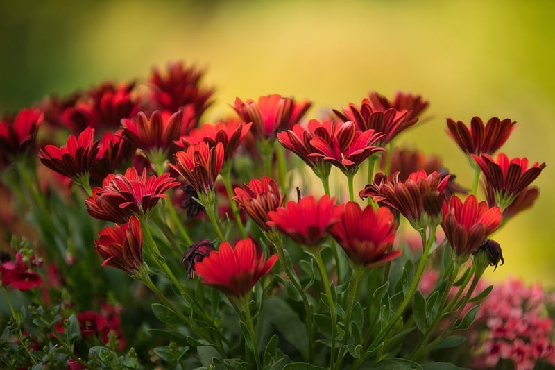 Outdoor gardening