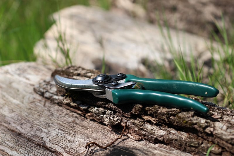 Pruning tips