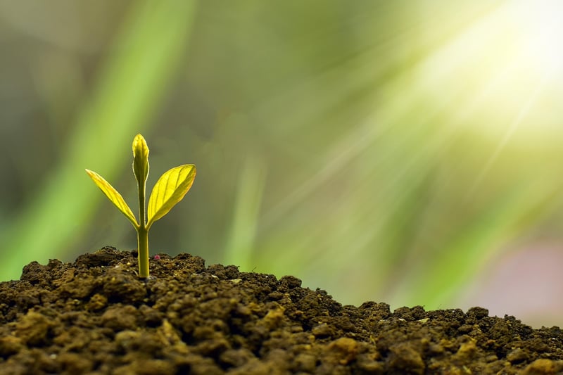 Sustainability talks