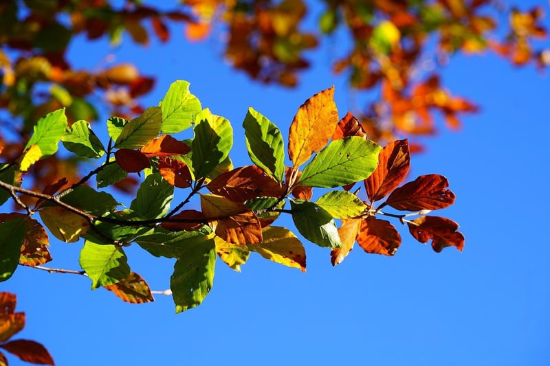 Plant maintenance image