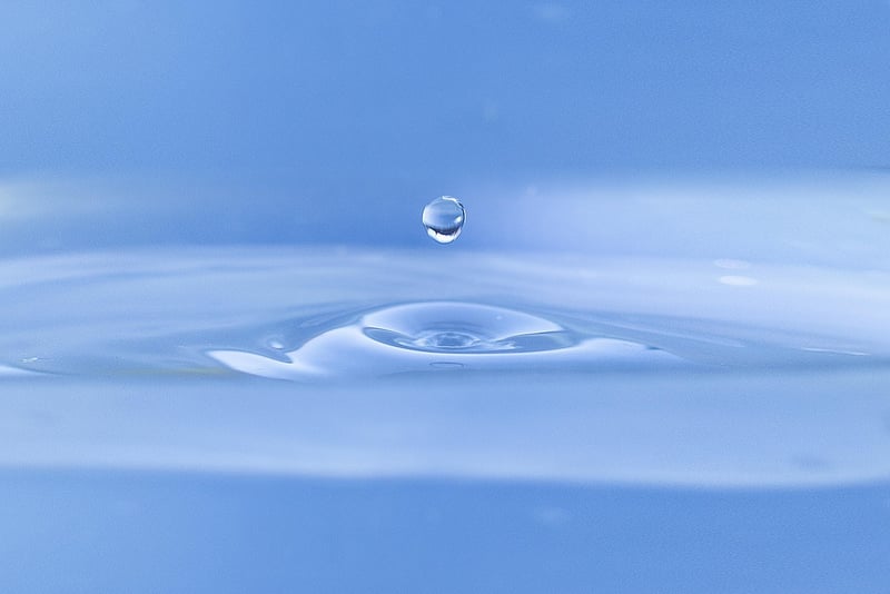 Rain Barrel